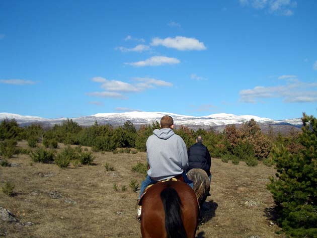 header image for Horseback Riding in Donje Ogorje