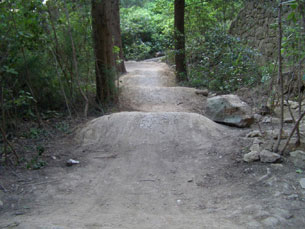 Bike Dirt Path we discovered in Marjan Hill