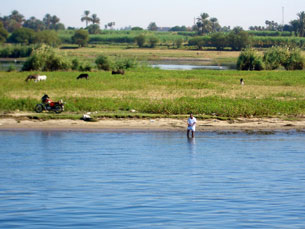 Another fisherman, this time waded into the Nile to his knees, as seen from our cruise ship