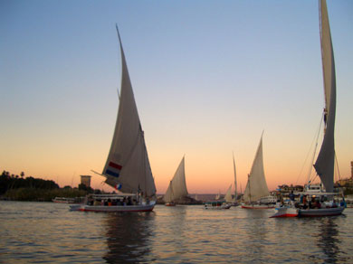 Feluccas on the Nile, at sunset