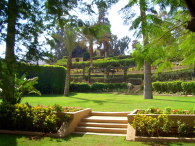 The Mena House gardens