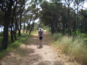 Jay walking along path in Marjan Hill