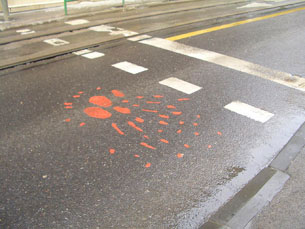Sarajevo Rose