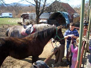 Saddling up the horses