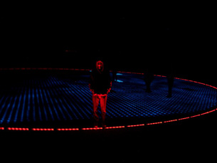 Jay lit up by Zadar's Greeting to the Sun