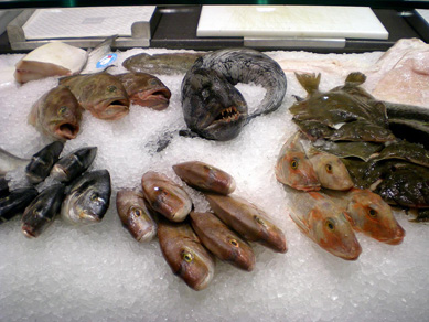 Fish on ice at KaDeWe (Kaufhaus Des Westens)
